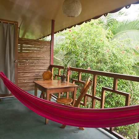 Hotel Blue Conga Puerto Viejo de Talamanca Pokój zdjęcie