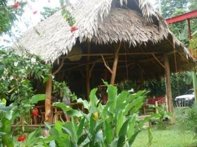 Hotel Blue Conga Puerto Viejo de Talamanca Zewnętrze zdjęcie