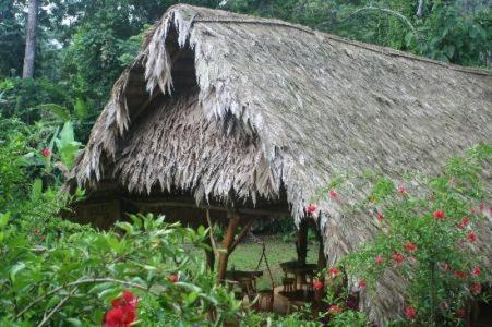 Hotel Blue Conga Puerto Viejo de Talamanca Zewnętrze zdjęcie