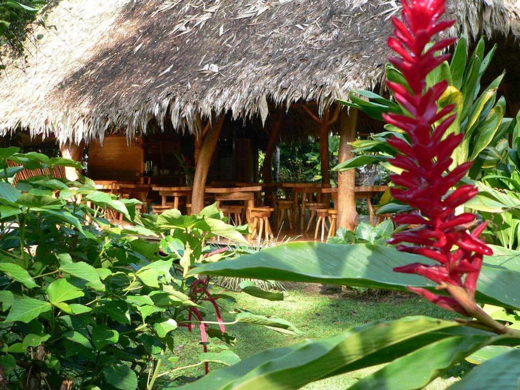 Hotel Blue Conga Puerto Viejo de Talamanca Zewnętrze zdjęcie