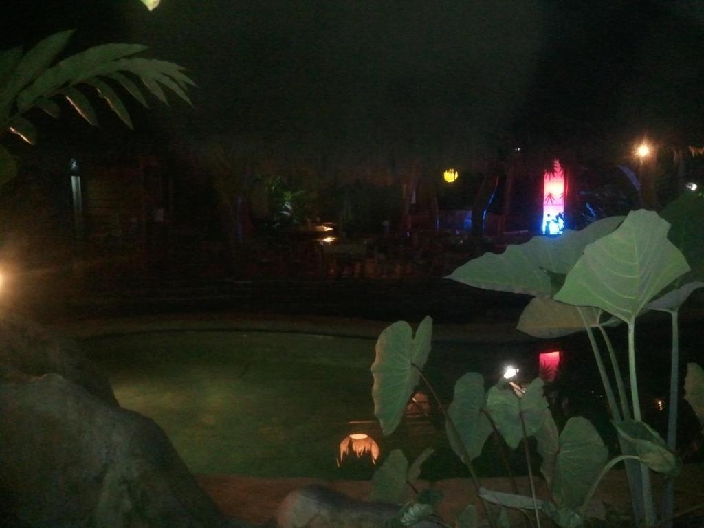 Hotel Blue Conga Puerto Viejo de Talamanca Zewnętrze zdjęcie