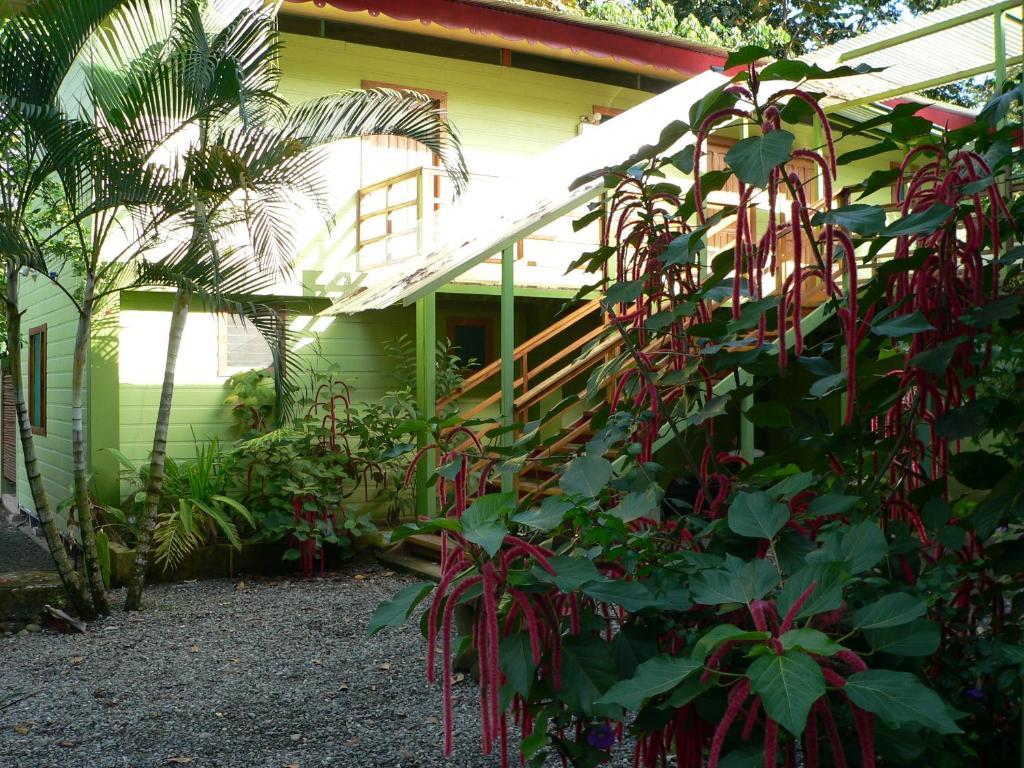 Hotel Blue Conga Puerto Viejo de Talamanca Zewnętrze zdjęcie